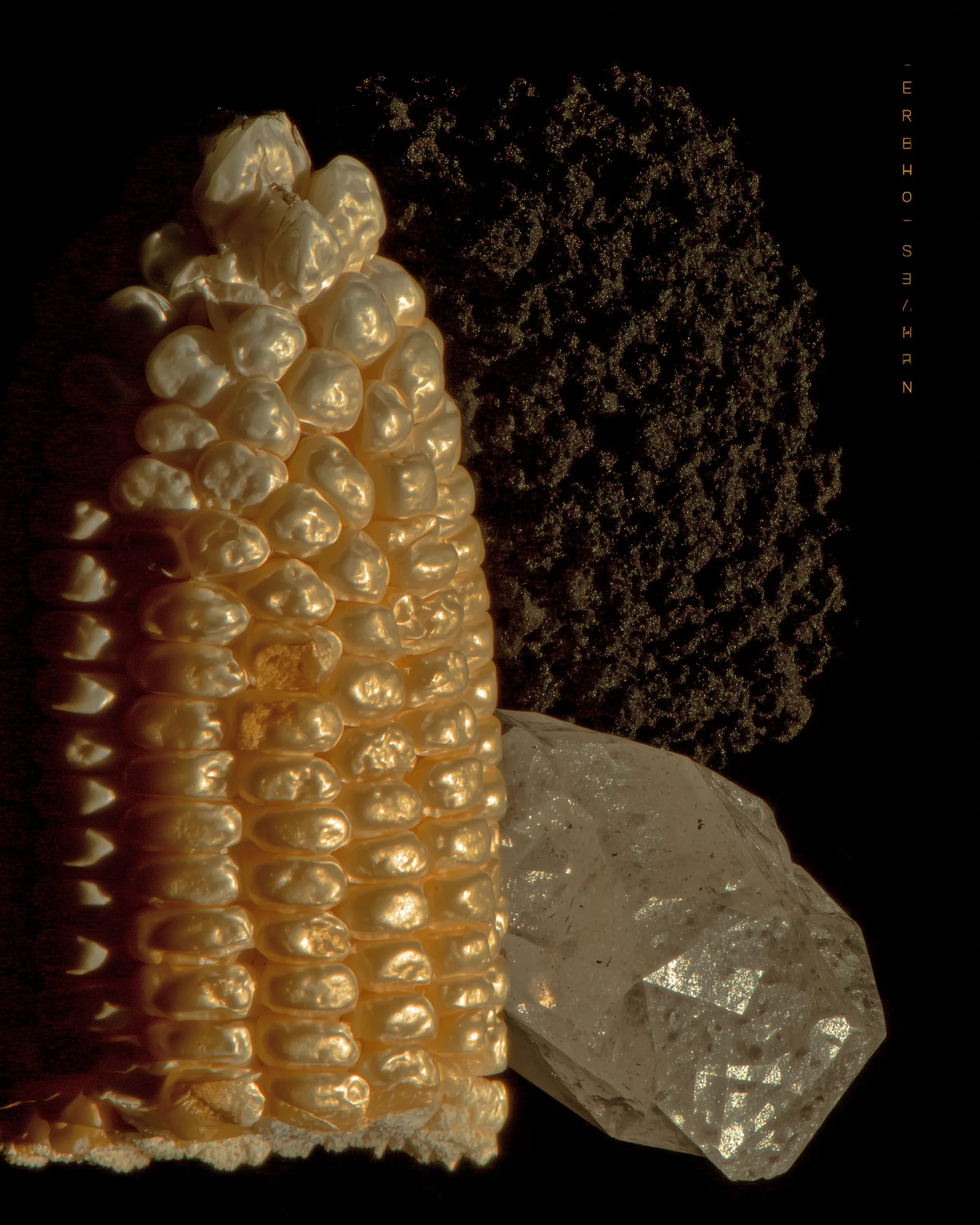 Golden corn cob with dark maize and crystal representing Zea Mays Foods' cultural and material craft