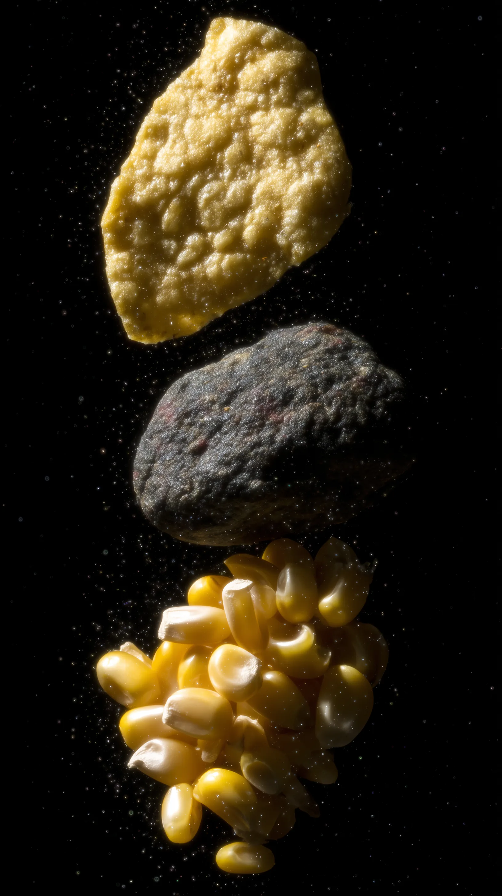 Floating totopo, grinding stone, and maize kernels representing Zea Mays Foods' nixtamalization heritage