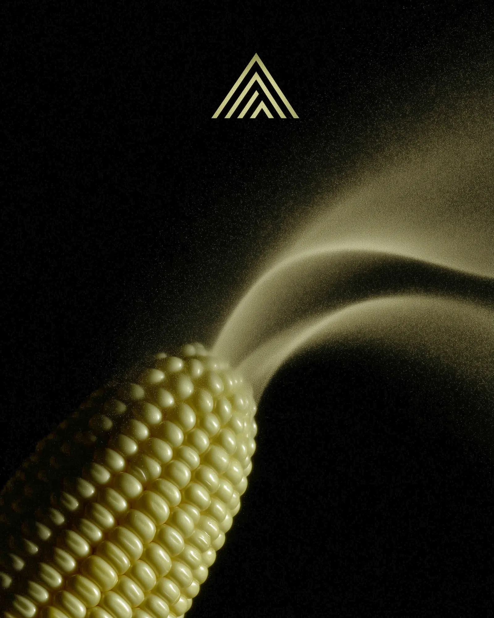 Zea Mays Foods case study cover