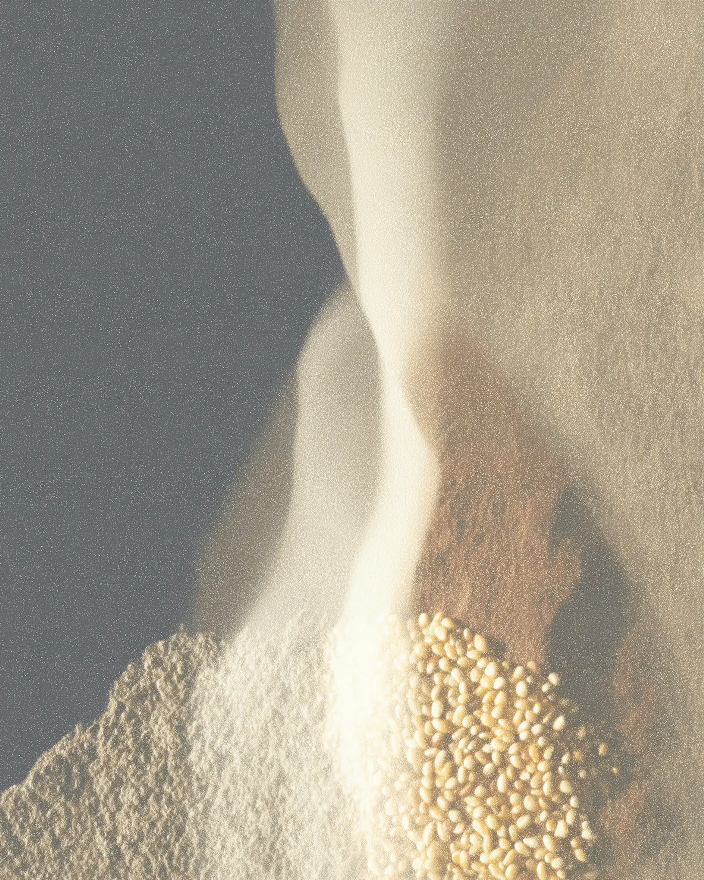 Warm flour and golden maize kernels representing Zea Mays Foods' completed heritage commerce system